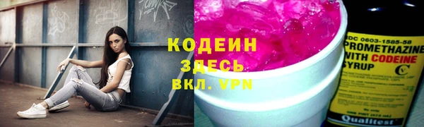 гашик Инсар