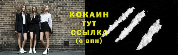 гашик Инсар
