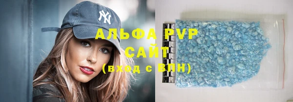 гашик Инсар