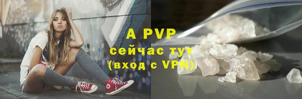 гашик Инсар