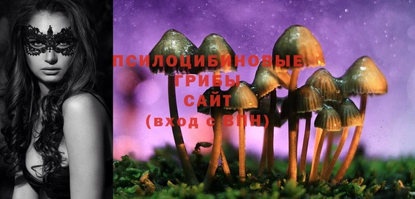 гашик Инсар